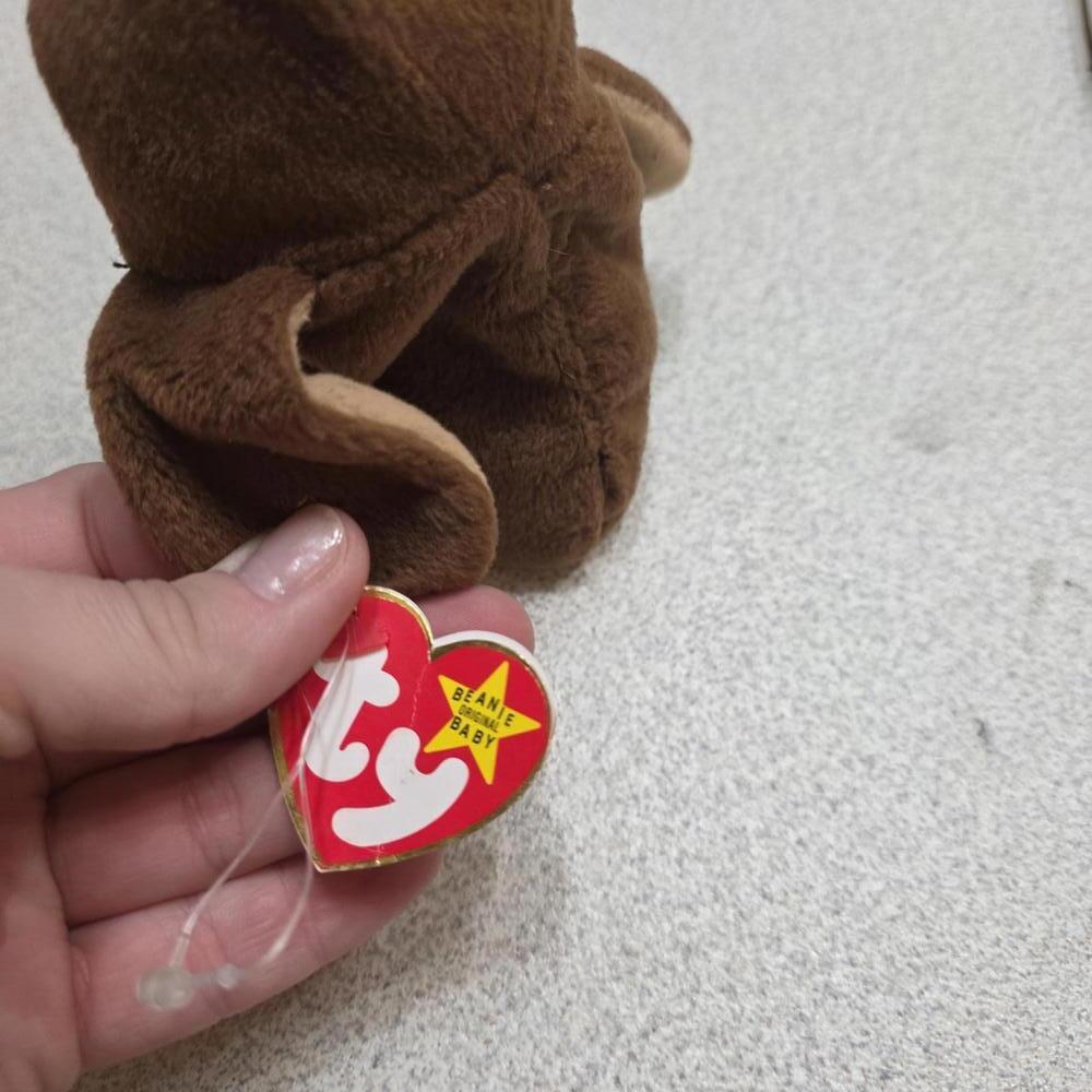 Ty Beanie Baby Hoot Owl - Picture 3 of 7